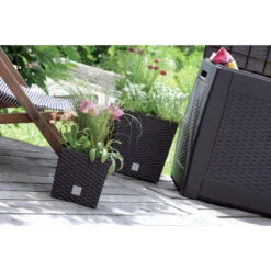 Tuinwinkel -Tuinwinkel 00cb6150c8834cb2b9caa283eb120324