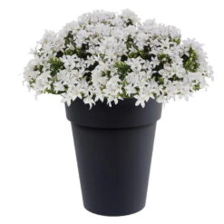 EDA Plantenpot/bloempot Toscane - Antraciet - Kunststof - D44 X H53 Cm -Tuinwinkel 050ac204db5d4ef79996dc48373d489f