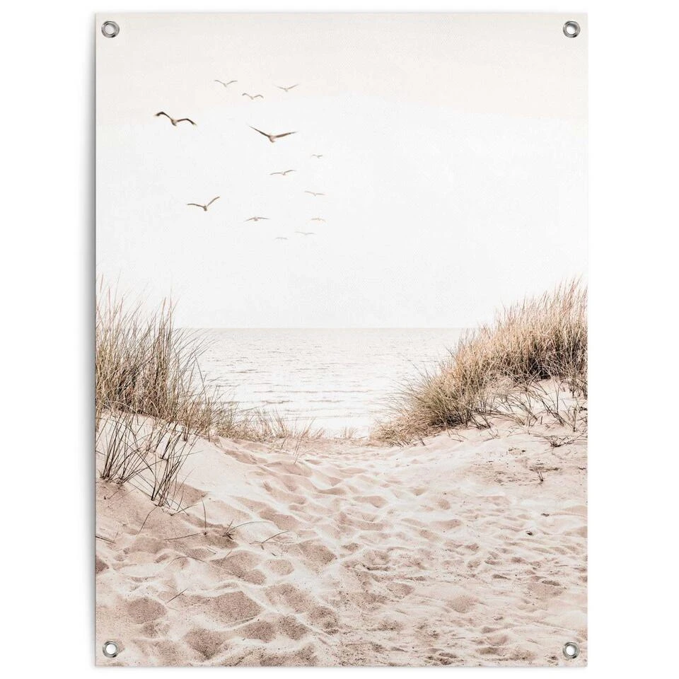 Tuinposter Duinen 80x60 Cm Beige 3 Tuinposter Duinen 80x60 Cm Beige