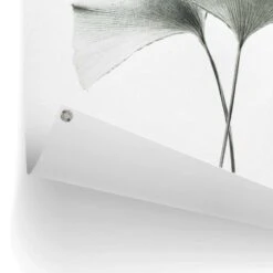 Tuinposter Ginkgo Blad 80x60 Cm Groen -Tuinwinkel 1000006187 0102