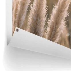 Tuinposter Pampas 80x60 Cm Beige -Tuinwinkel 1000006193 0102