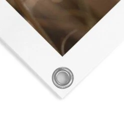 Tuinposter Pampas 80x60 Cm Beige -Tuinwinkel 1000006193 0103