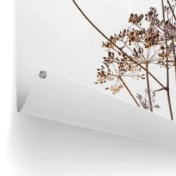 Tuinposter Berenklauw 120x80 Cm Beige -Tuinwinkel 1000006198 0102