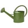 Decoris Gieter - Groen - Zink - 5 L -Tuinwinkel 1000014611