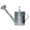 Gieter - Verzinkt Metaal - Afneembare Broeskop - 5 L -Tuinwinkel 1000014613