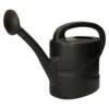 Talen Tools Gieter - Zwart - Kunststof - Afneembare Broeskop - 5 Liter -Tuinwinkel 1000039374