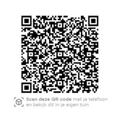 4 Seasons Accor Loungestoel - Antraciet -Tuinwinkel 1000042588 0103