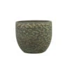 Steege Plantenpot Rinca - Groen - Lava Look - 15 X 13 Cm 1 Steege Plantenpot Rinca - Groen - Lava Look - 15 X 13 Cm -Tuinwinkel 1000042784