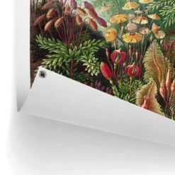 Tuinposter Sea Flora 80x60 Cm Groen -Tuinwinkel 1000042850 0102