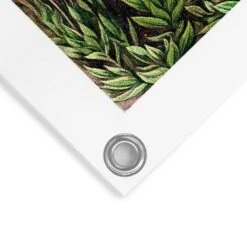 Tuinposter Sea Flora 80x60 Cm Groen -Tuinwinkel 1000042850 0103