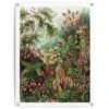 Tuinposter Sea Flora 80x60 Cm Groen -Tuinwinkel 1000042850