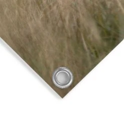 Tuinposter Hooglander 60x80 Cm Beige -Tuinwinkel 1000042853 0103