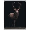 Tuinposter Hert 80x60 Cm Bruin