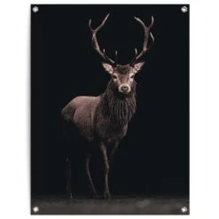 Tuinposter Hert 80x60 Cm Bruin