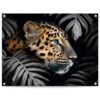 Tuinposter Jungle Luipaard 60x80 Cm Bont -Tuinwinkel 1000042858