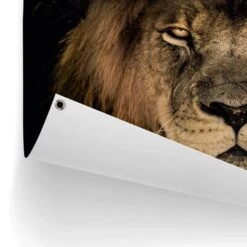 Tuinposter Leeuw 60x80 Cm Bruin -Tuinwinkel 1000042859 0102