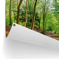 Tuinposter Lentebos 60x80 Cm Groen -Tuinwinkel 1000042868 0102