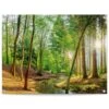 Tuinposter Lentebos 60x80 Cm Groen -Tuinwinkel 1000042868