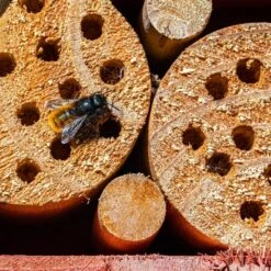 Orange85 Insectenhotel Bijenhotel Boomstam 10x9 Cm Hout -Tuinwinkel 1000049600 0111