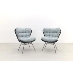 Garden Impressions Libelle Retro Loungestoel - Set Van 2 - Zwart -Tuinwinkel 1000053011 0102