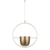Mica Decorations Dexter Hangende Bloempot - L34 X B14 X H65 Cm - Goud -Tuinwinkel 1000057172