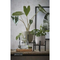 Mica Decorations Ascot Plantenstandaard L24 X B24 X H25 Cm Zwart -Tuinwinkel 1000062281 0111