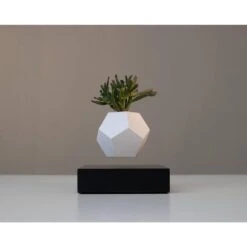 FLYTE Planter Zwevende Bloempot - Zwarte Basis -Tuinwinkel 1000073361 0103