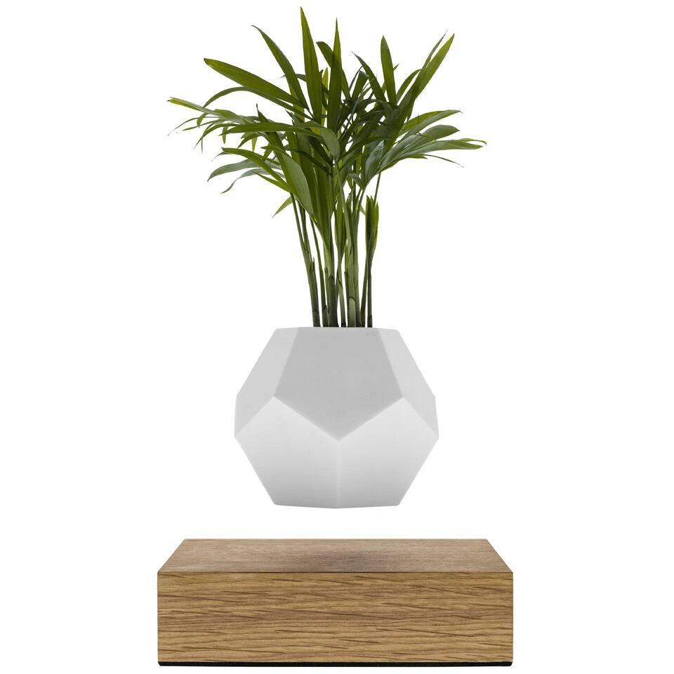 FLYTE Planter 1.1 Zwevende Bloempot - Eiken Basis 4 FLYTE Planter 1.1 Zwevende Bloempot - Eiken Basis - Afbeelding 2