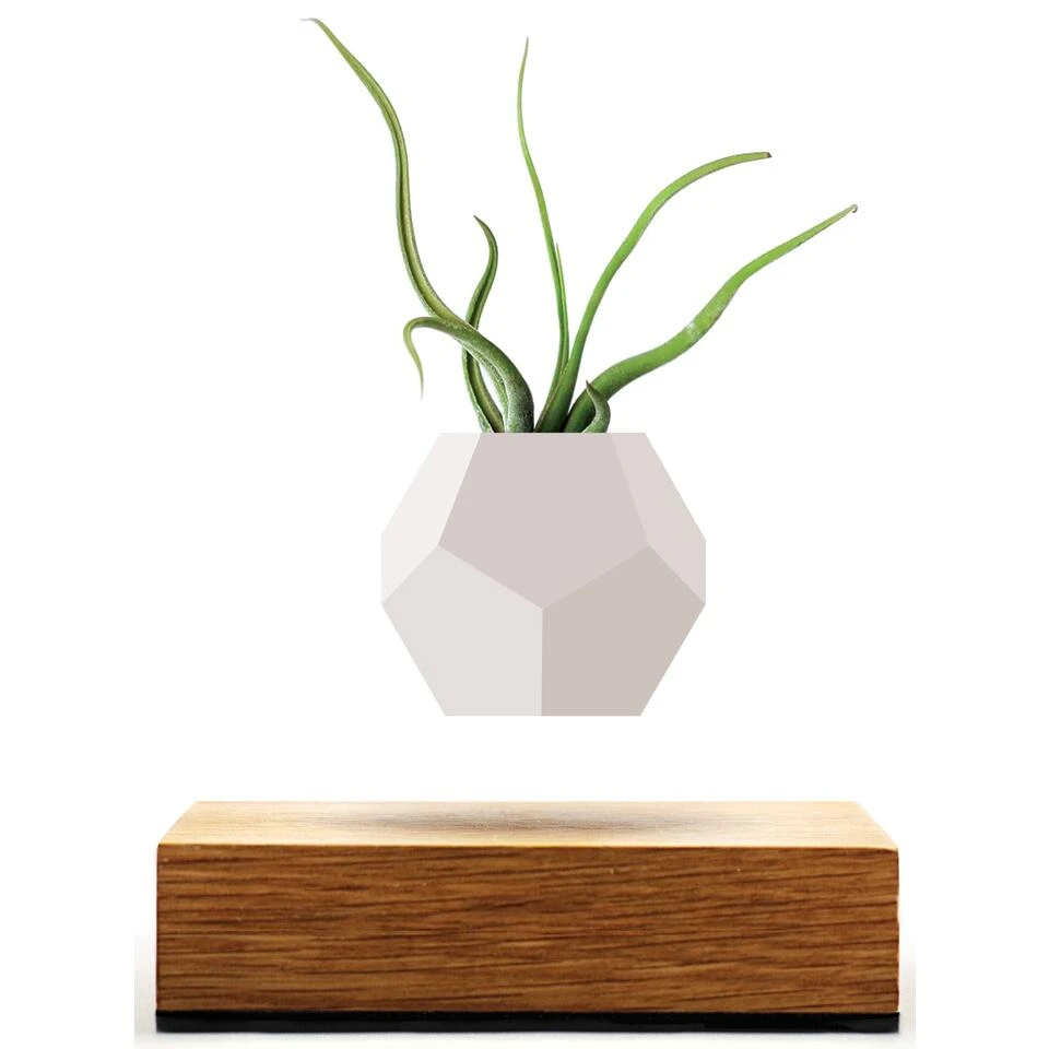 FLYTE Planter 1.1 Zwevende Bloempot - Eiken Basis 5 FLYTE Planter 1.1 Zwevende Bloempot - Eiken Basis - Afbeelding 3