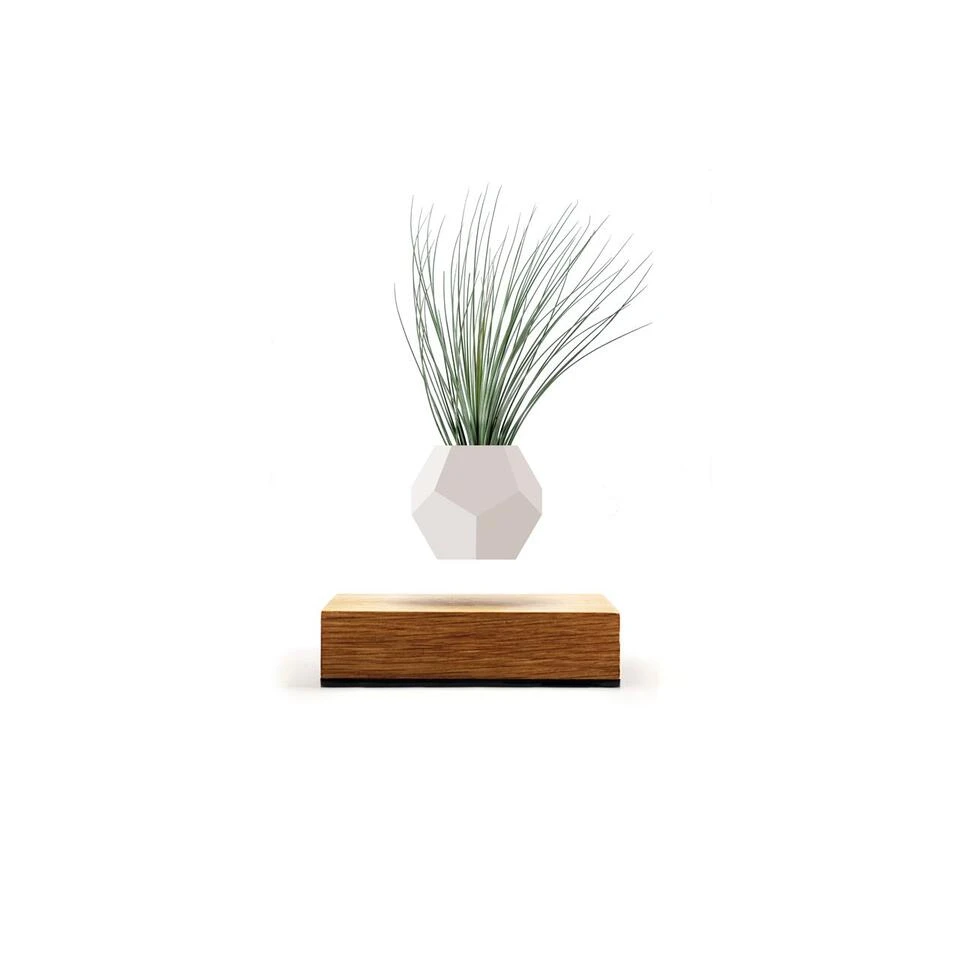 FLYTE Planter 1.1 Zwevende Bloempot - Eiken Basis 6 FLYTE Planter 1.1 Zwevende Bloempot - Eiken Basis - Afbeelding 4