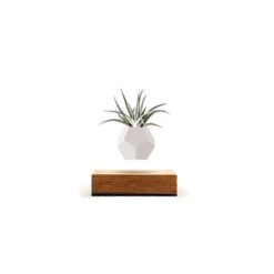 FLYTE Planter 1.1 Zwevende Bloempot - Eiken Basis