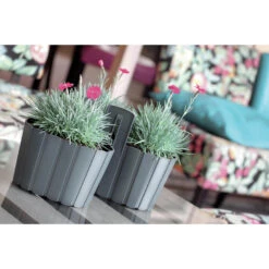 Merkloos Prosperplast Plantenpot - Antraciet - Ophang - Kunststof - D20xH15 Cm -Tuinwinkel 1000077398 0102