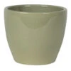 Ter Steege Plantenpot - Keramiek - Mosgroen - Glanzend - D15 X H12 -Tuinwinkel 1000077573