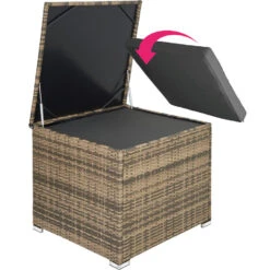 Tectake - Loungeset Pisa Met Opbergbox Kussens - Wicker - Naturel -Tuinwinkel 1000077886 0103