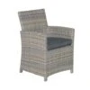 Garden Impressions Alaska Lounge Dining Tuinstoel -vintage Willow -Tuinwinkel 1000079425