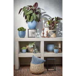 Mica Decorations Plantenpot - Terracotta - Blauw Glans - D20/H18 Cm 7 Mica Decorations Plantenpot - Terracotta - Blauw Glans - D20/H18 Cm -Tuinwinkel 1000085621 0102