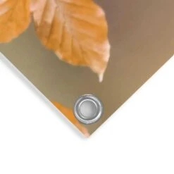 Tuinposter Goudvink 60x80 Cm Oranje 9 Tuinposter Goudvink 60x80 Cm Oranje -Tuinwinkel 1000088338 0103