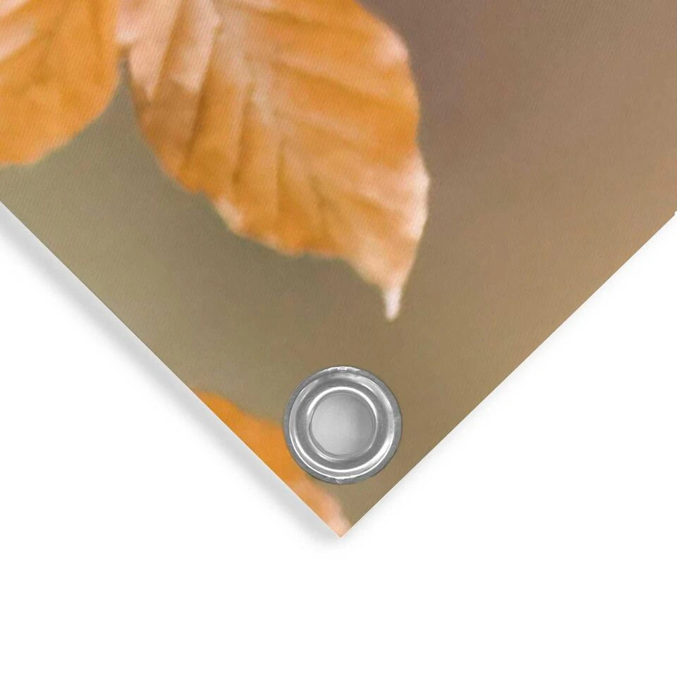 Tuinposter Goudvink 60x80 Cm Oranje 6 Tuinposter Goudvink 60x80 Cm Oranje - Afbeelding 4