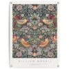 Tuinposter William Morris - Aardbeiendief 80x60 Cm Bont 1 Tuinposter William Morris - Aardbeiendief 80x60 Cm Bont -Tuinwinkel 1000088357