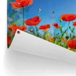 Tuinposter Zomerbloemen 60x80 Cm Rood -Tuinwinkel 1000088387 0102
