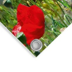 Tuinposter Zomerbloemen 60x80 Cm Rood -Tuinwinkel 1000088387 0103