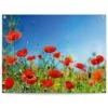 Tuinposter Zomerbloemen 60x80 Cm Rood 2 Tuinposter Zomerbloemen 60x80 Cm Rood -Tuinwinkel 1000088387