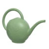 Decoris Gieter - 1,5 Liter - Groen - Kunststof 2 Decoris Gieter - 1,5 Liter - Groen - Kunststof -Tuinwinkel 1000094729