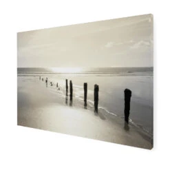 Art For The Home - Buitencanvas - Zonsondergang - 50x70cm -Tuinwinkel 1000095370 0102
