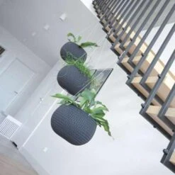 Prosperplast Prosperplats Bloempot Splofy Hangend - Wit - Kunststof - 24 Cm -Tuinwinkel 1151972090 0101