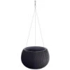 Prosperplast Prosperplats Bloempot Splofy Hangend - Antraciet - Kunststof - 24 Cm -Tuinwinkel 1274427606