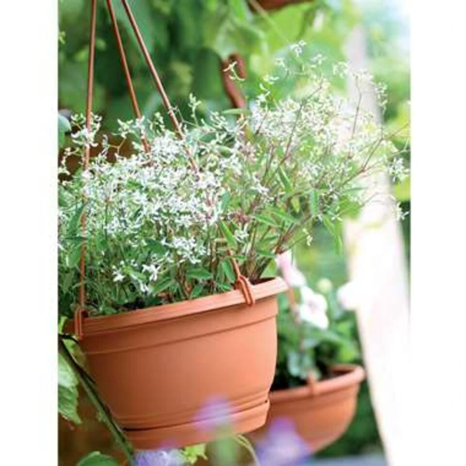 Prosperplast Prosperplats Bloempot Hangend - Terracotta - Kunststof - 21 Cm 4 Prosperplast Prosperplats Bloempot Hangend - Terracotta - Kunststof - 21 Cm - Afbeelding 2