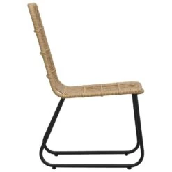 VidaXL Tuinstoelen 2 Stuks Poly Rattan Eikenkleurig -Tuinwinkel 1aca40eb7f494905a59af918e321bfb1