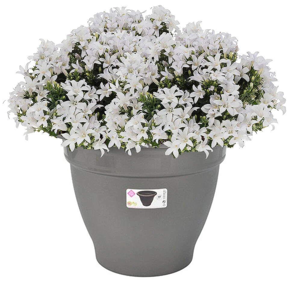 Hega Hogar Bloempot - Grijs - Kunststof - Rond - 50 Cm 4 Hega Hogar Bloempot - Grijs - Kunststof - Rond - 50 Cm - Afbeelding 2