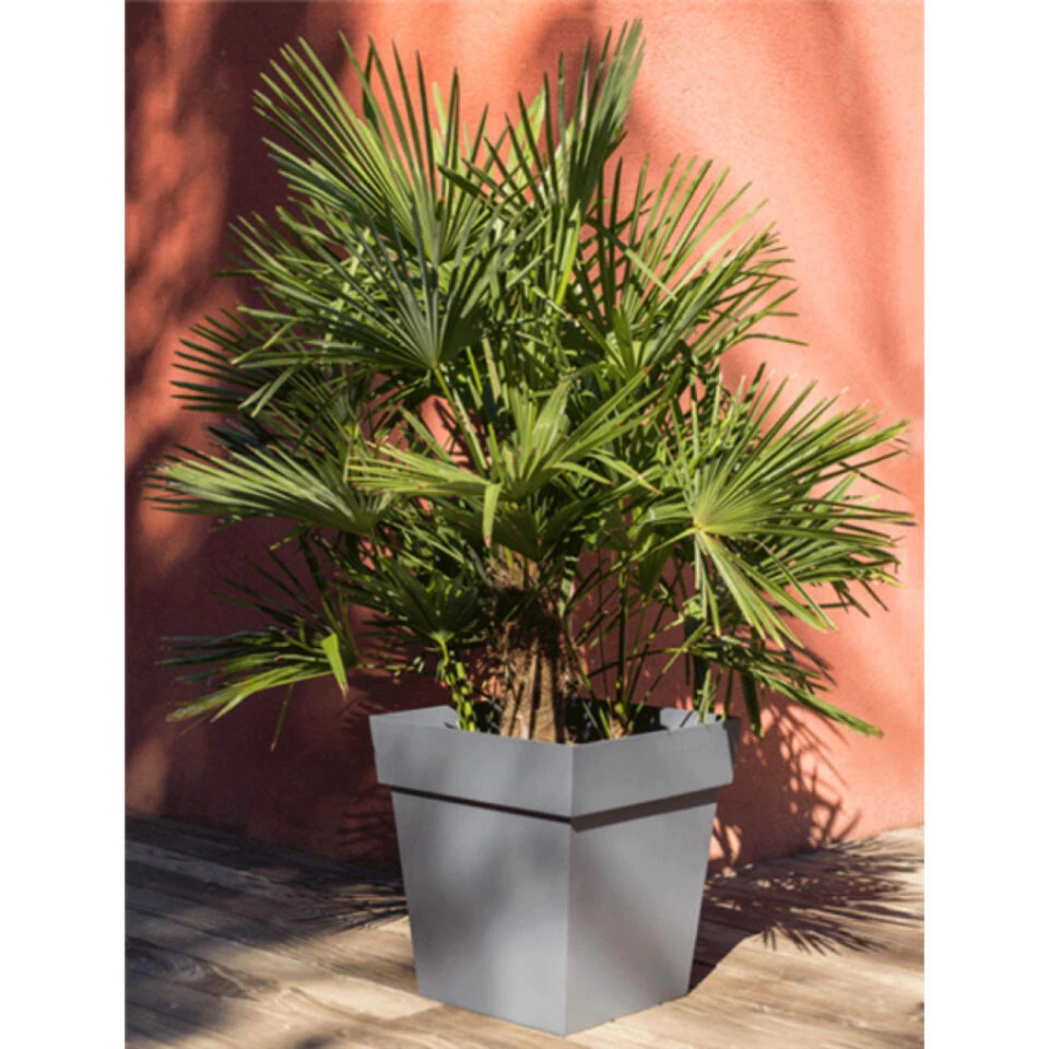 EDA Bloempot - Toscane - Vierkant - Zwart - Kunststof - L39 X H39 Cm 4 EDA Bloempot - Toscane - Vierkant - Zwart - Kunststof - L39 X H39 Cm - Afbeelding 2